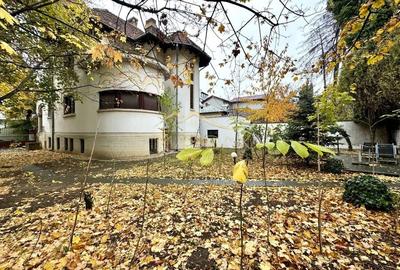 Casa de închiriat zona Kiseleff - 9