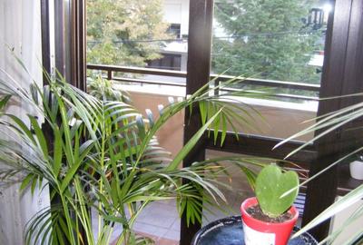 Domenii,imobil 2007,etaj 1/3,150 mp,loc de parcare subteran. Domenii,imobil 2007,etaj 1/3,150 mp,loc de parcare subteran. - 7