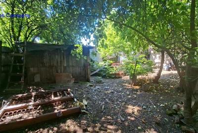 Buc Noi - Sos Chitilei Casa si Teren - 1