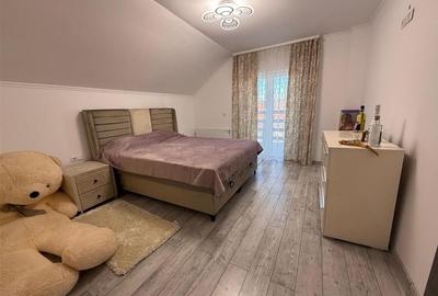 Casa individuala 5 camere 2 bai zona Terezian - 11