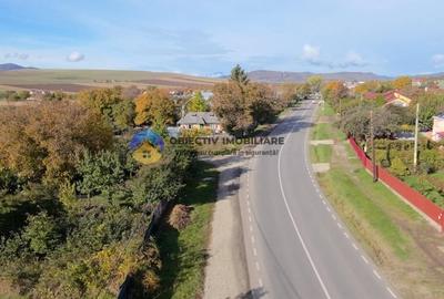 Casa + teren de vanzare – Turturesti, jud. Neamt - 3