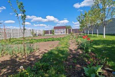 Teren  Harman intravilan  cu utilitati  ! Teren  Harman intravilan  cu utilitati  ! - 6