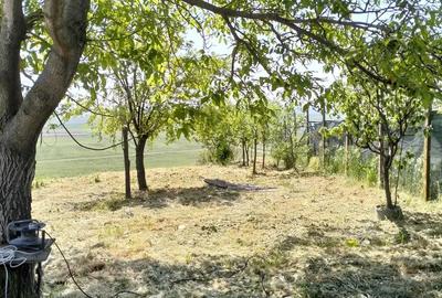 Casă cu 3 camere cu Teren 2500 Mp în Băneasa - 3