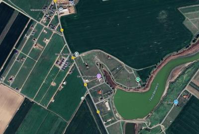 Teren Intravilan Berceni Manastire | curent gaz la sosea | #LG5E - 2