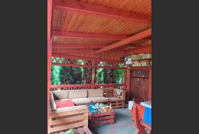 House for sale in central Sighetu Marmației - Maramureș - 31