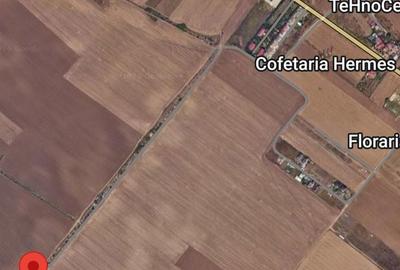 Teren de 518 mp, în Frumușani - 3