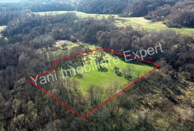 Teren 13.643 mp intravilan de vanzare in Curtea de Arge?. - 6