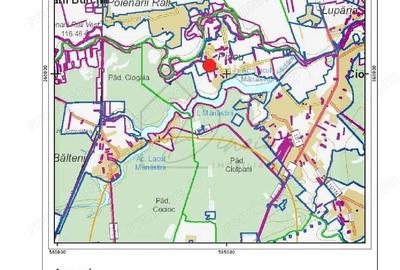 Teren intravilan 2078 mp langa padure - Piscu Ciolpani Snagov - 7