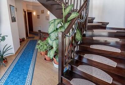 Vilă cu suflet și poveste în Tohanu Nou – Bran - 12