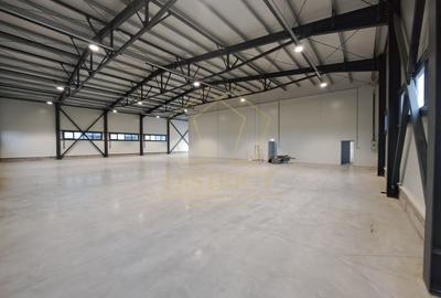 Spațiu industrial, de 921 mp, în Aeroport - 3