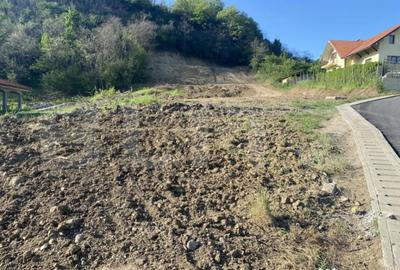 Teren de 3300 mp, în Central - 4