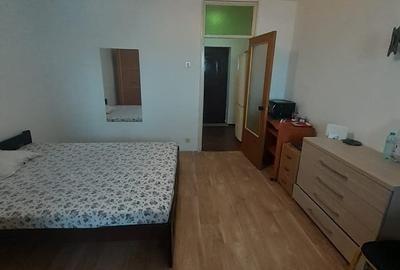 Garsonieră semidecomandată în Costin Georgian - 6