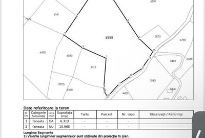 Teren Comuna Horea 17278m2. Apuseni - 6