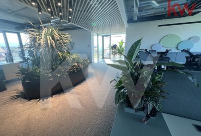 Spatii birouri, openspace, receptie, parcari, statii incarcare, parc verde, A+++ - 9