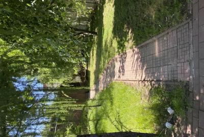 Vila inchiriere pentru locuita ?i afacere zona Brancoveanu-Luica - 2