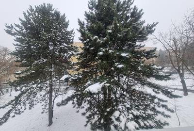 De vânzare apartament 2 camere Gruia - 13