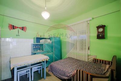 De vanzare casa cu teren de 3036 mp in Bor? - 6