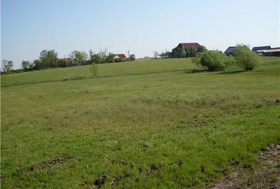 Teren de 55000 mp, în Salonta - 2
