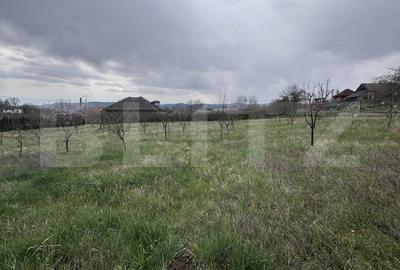 Casă cu 3 camere în Jichișu de Jos - 6