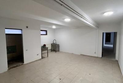 Vila de inchiriat-Finisaje la alegere-Renovata 2025-Destinatie multipla - 12