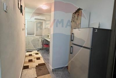 Garsoniera decomandata de inchiriat- Valea Rosie - 6