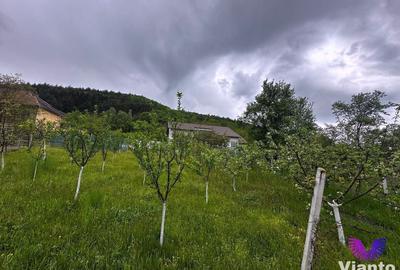 Casă individuală cu 3 camere cu Canalizare în Fântânele - 4