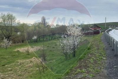 Teren 2,700mp Scheia / DJ 209C - 9