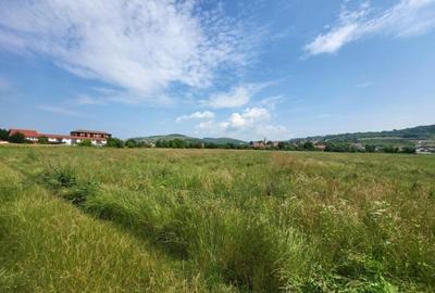 Teren intravilan, 1800mp, Gusterita Teren intravilan, 1800mp, Gusterita - 1