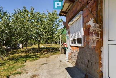 Casă cu 4 camere cu Teren 1393 Mp în Șiria - 7