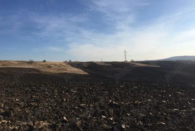 Teren de 7000 mp, în Dorobanț - 1