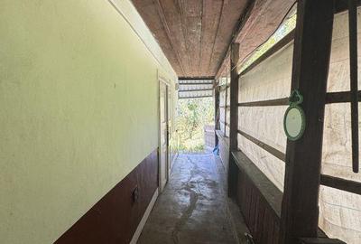 De vanzare Casa cu teren 3500MP in Sabisa/Maramures - 8