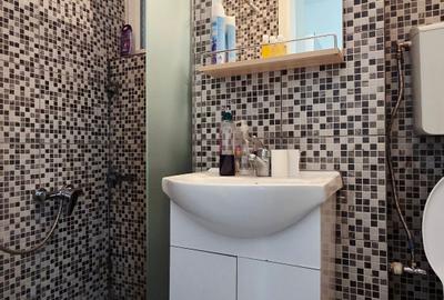 Apartament 2 camere Cismigiu / Sala Palatului - 8