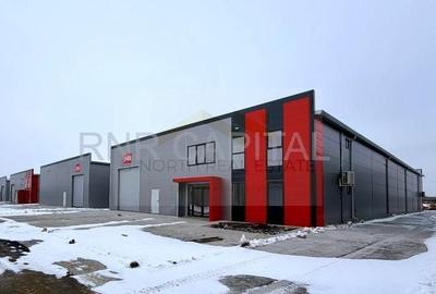 Închiriere hale noi 2025 – 1.000 mp/hala, acces TIR, Centura București – Chiajna - 1