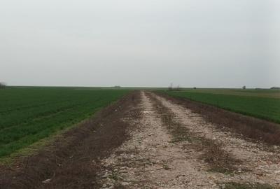 Teren Construcții intravilan de 300 mp, în Berceni - 3