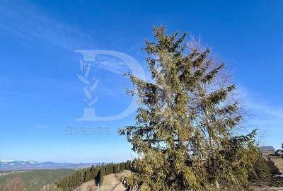 Casă cu 3 camere în Mărișel - 14