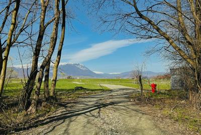 Teren Construcții intravilan de 1000 mp, în Glăjărie - 3