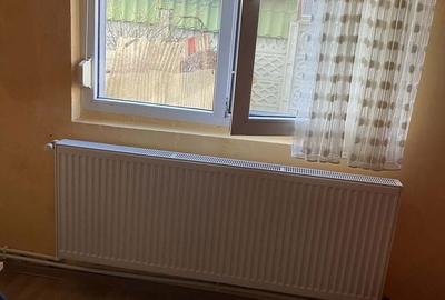 Apartament cu 2 camere nedecomandat în Central - 4