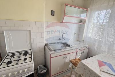 Apartament cu 3 camere semidecomandat, mobilat în Podgoria - 15
