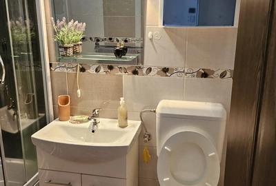 Apartament cu o camera de inchiriat complet utilat - 2