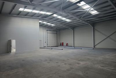 Inchiriere hala/birouri, TBM Industrial Park 600 MPU si teren 1016mp - 5