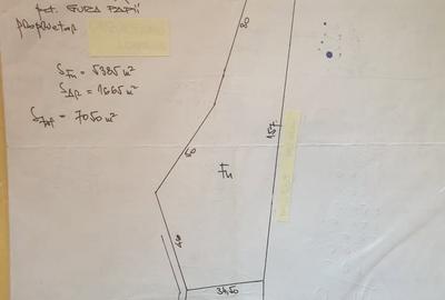 Teren de 7000 mp, în Vintilă Vodă