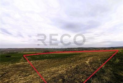 Teren mare extravilan in Uileacu de Munte - 2