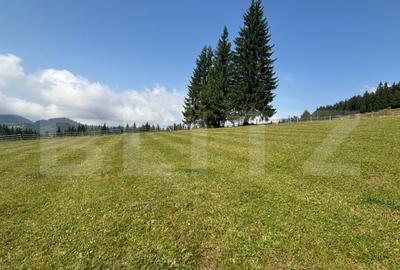 Vanzare teren intravilan de 2 hectare, in Pasul Tihu?a - 1