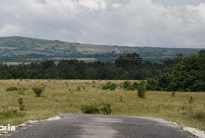 Teren de 29000 mp, în Letca - 3