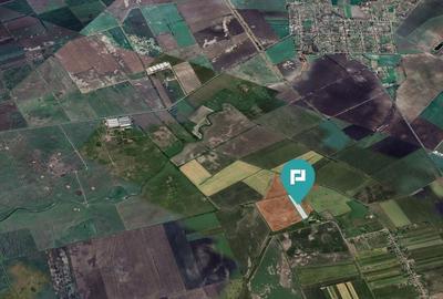 Teren extravilan de 28900 mp în Variașul Mare Teren extravilan de 28900 mp în Variașul Mare - 3