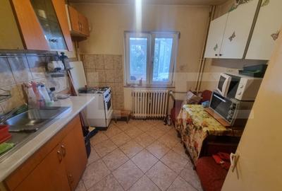 Apartament 2 camere decomandate, Lapus zona Scoala Mihai Eminescu - 9