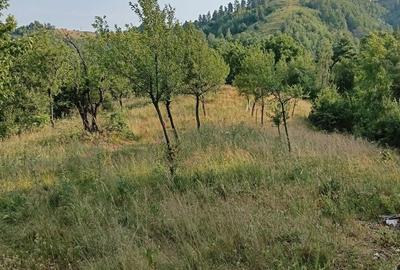 Spațiu comercial, în Luncani - 2