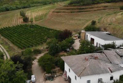 Teren extravilan de 230000 mp, în Vernești - 3