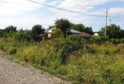 Eren intravilan 1.013 mp, IALOMITA, COSERENI - 2