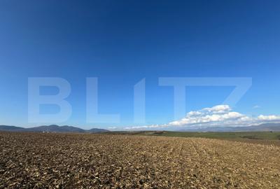 Teren extravilan agricol 5700 mp, Cristur - 2